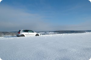 40–50 cm liegen auf den Feldern und Wiesen