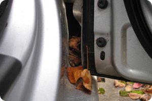 Angesammeltes Laub beim Golf V